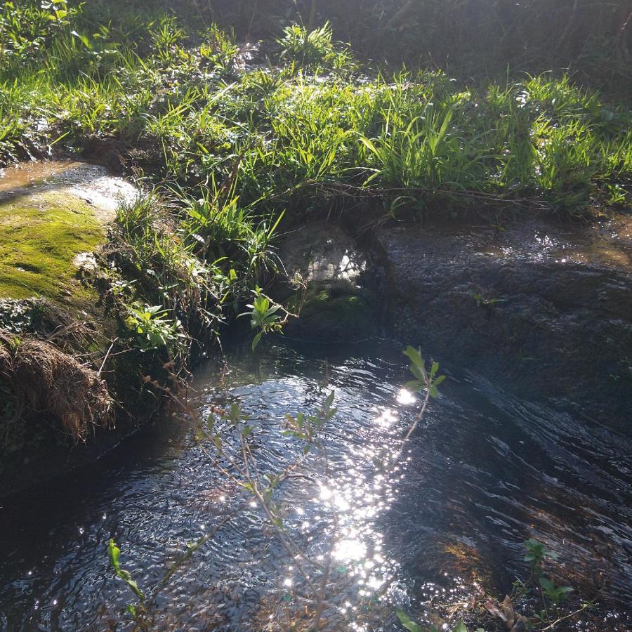 Yahoo Ecolodge Rio Rufino Zewnętrze zdjęcie