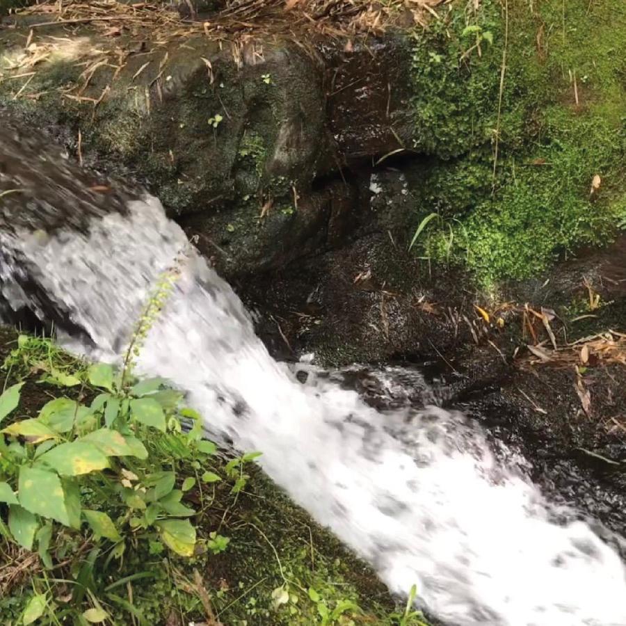 Yahoo Ecolodge Rio Rufino Zewnętrze zdjęcie